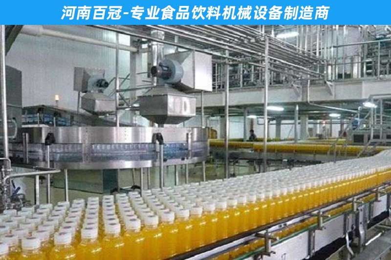 中小型全套菠萝汁饮料加工设备